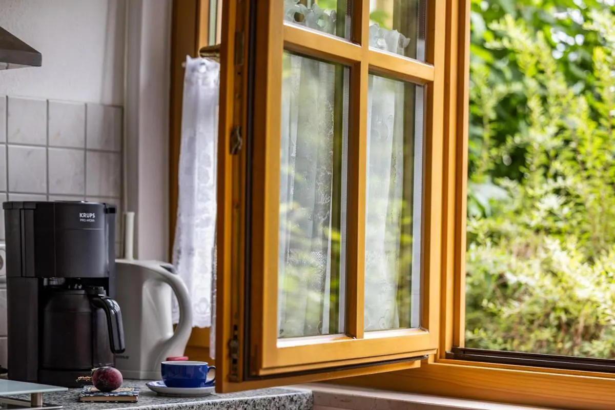 Ferienwohnung Wandertraum بيسخوفسويسن 0*,